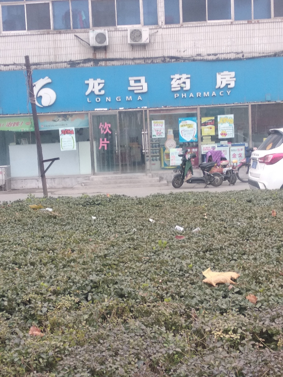 > 龙马大药房