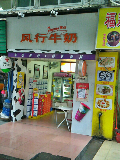                        风行牛奶
