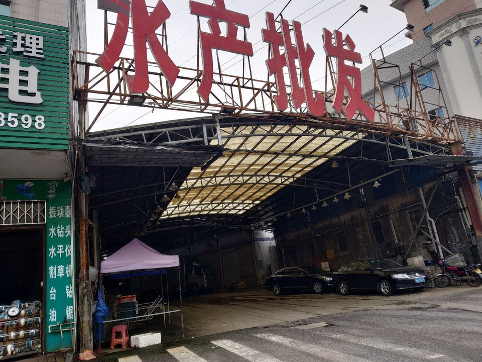 阳江闸坡海鲜批发市场