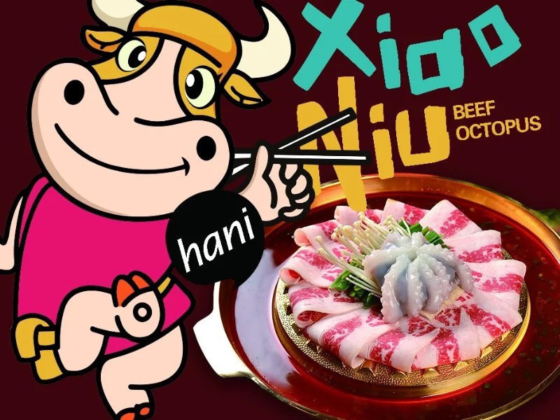              小牛哈尼章鱼水煎肉