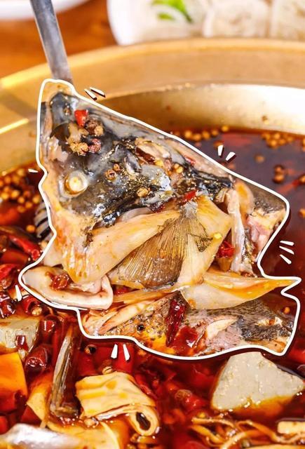 蜀津高记鱼头火锅(龙泉总店)图片