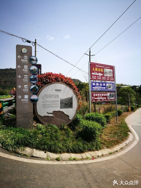 双流三星镇杨梅小镇