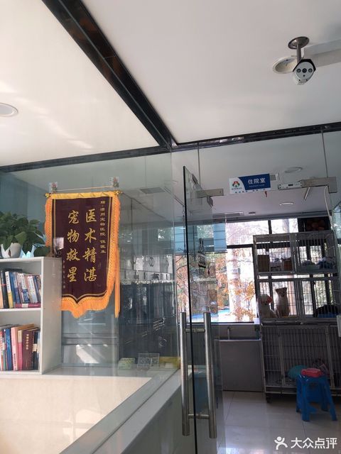 > 唯宠动物医院