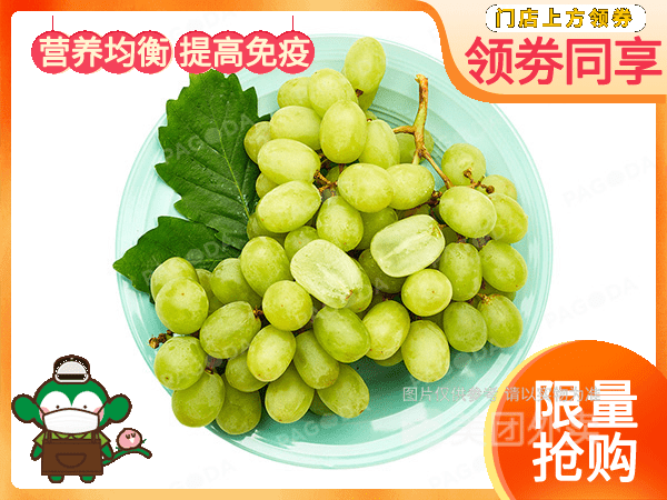 级进口棉花糖甜心提子中不少于图片