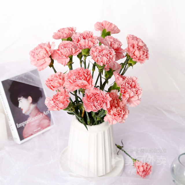 单枝粉色康乃馨鲜花不送花瓶图片