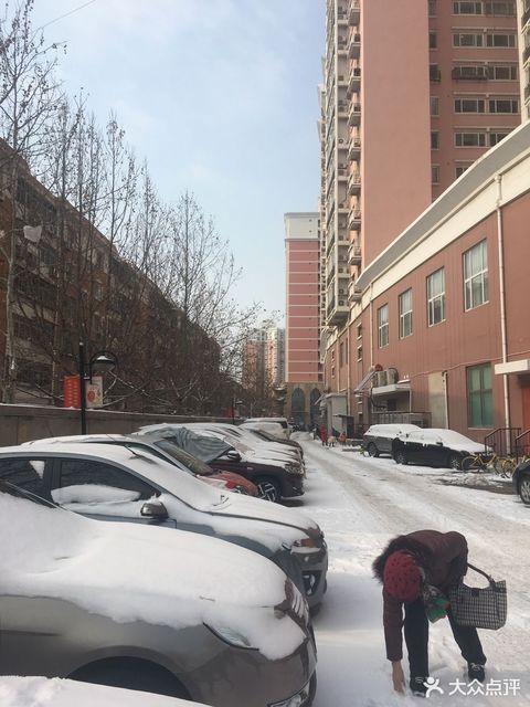 王顶堤村堤翠家园