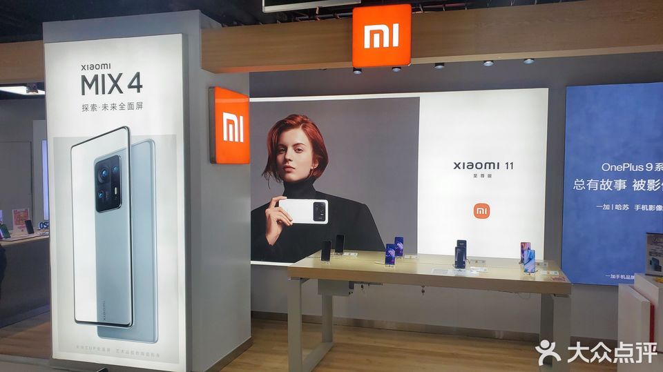 大美阳曲小米专卖店