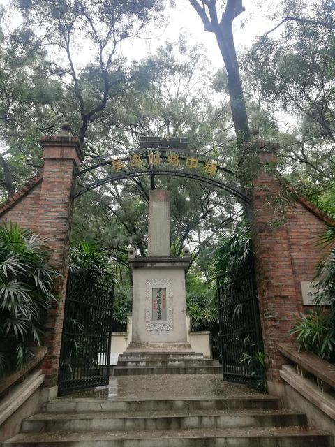 杨仙逸先生墓图片