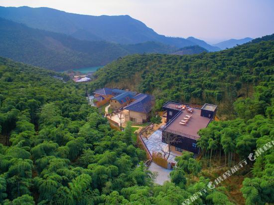 安吉隐将谷度假别墅图片
