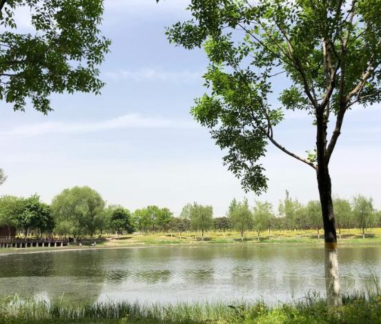 北京怀柔滨河森林公园图片