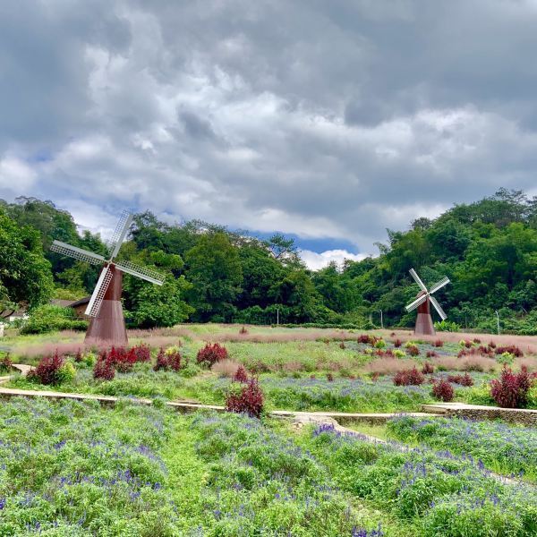 【德慶盤龍峽生態旅遊景區】德慶盤龍峽生態旅遊景區門票,德慶盤龍峽