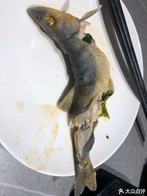 區繁榮東路475號推薦菜:大柳根魚湯火鍋醬燜嘎牙子魚大花泥鰍魚湯分類