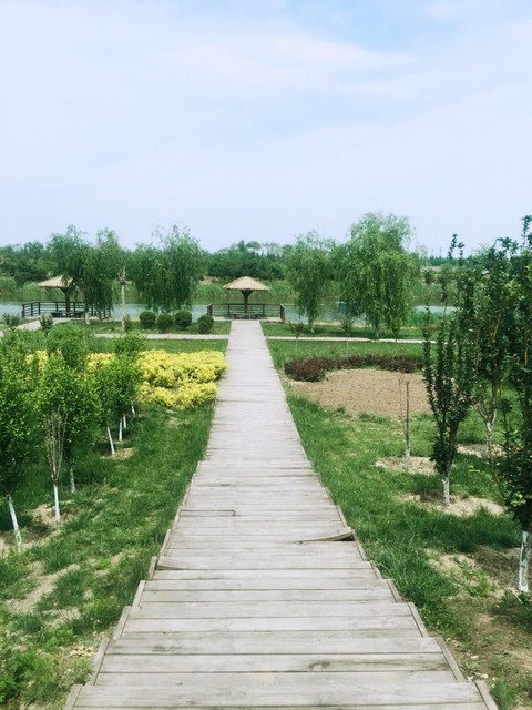 > 宁河郊野公园地址(位置,怎么去,怎么走,在哪,在哪里,在哪儿):天津市