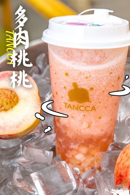 芝士多肉桃桃图片