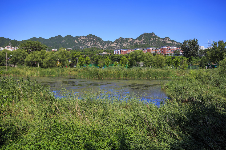 王平湿地公园图片