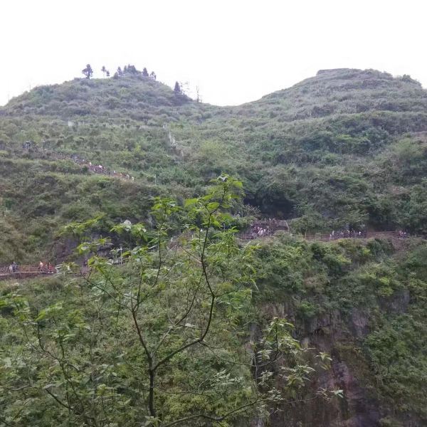 石阡五峰山森林公园
