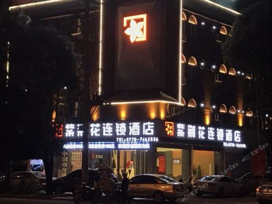 东兴市紫荆花城市酒店图片