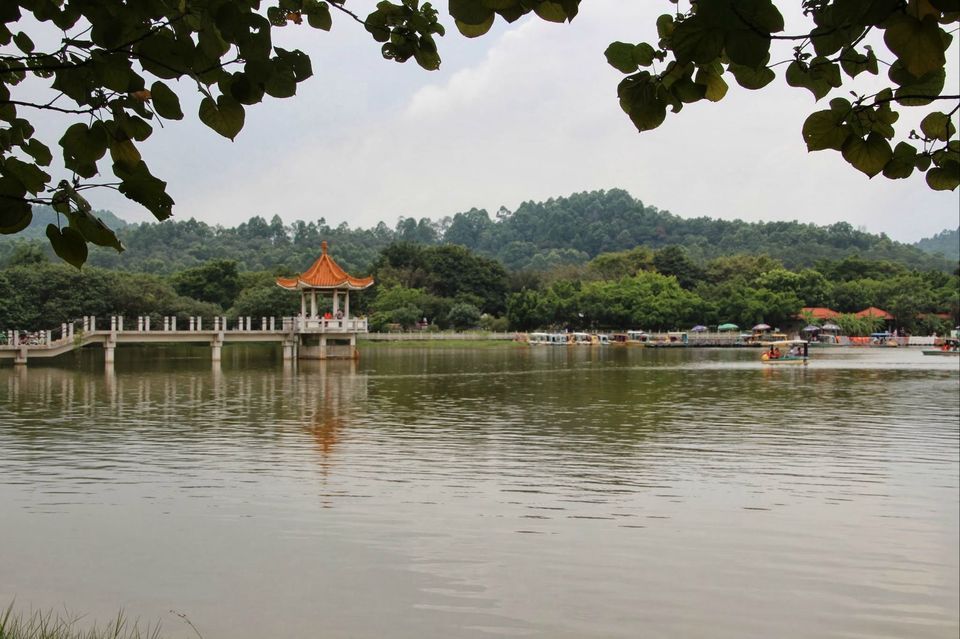 大夫山森林公园租车店南门店