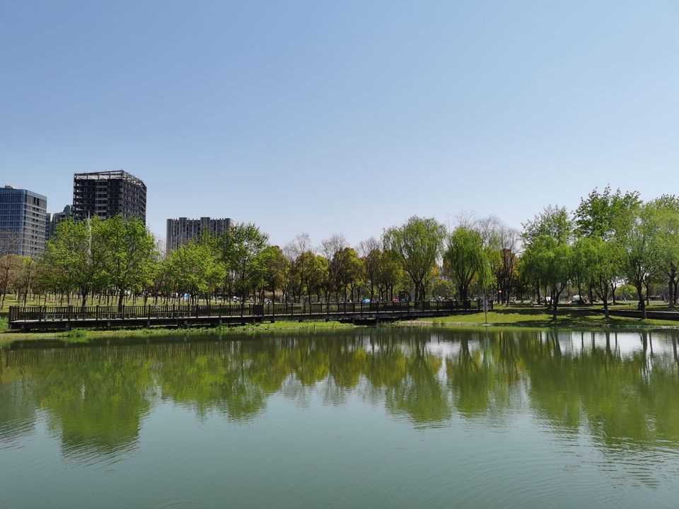 宁晋县体育公园图片