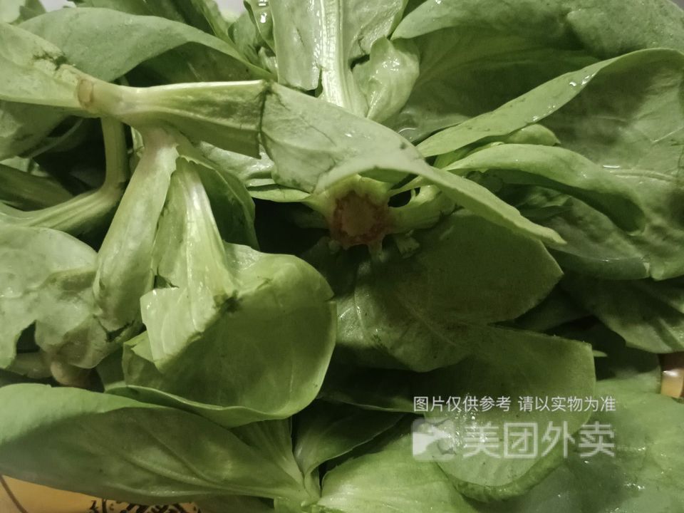 茼花菜图片