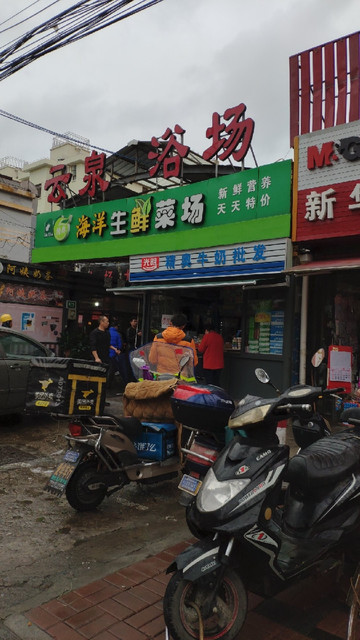 蔷薇菜市场