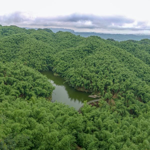 【沐川竹海】沐川竹海門票,沐川竹海遊玩攻略_360地圖