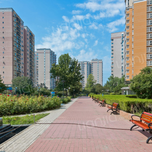 园兰德华庭紫金长安苹果园-二区今日家园丽景长安数码大厦紫御国际