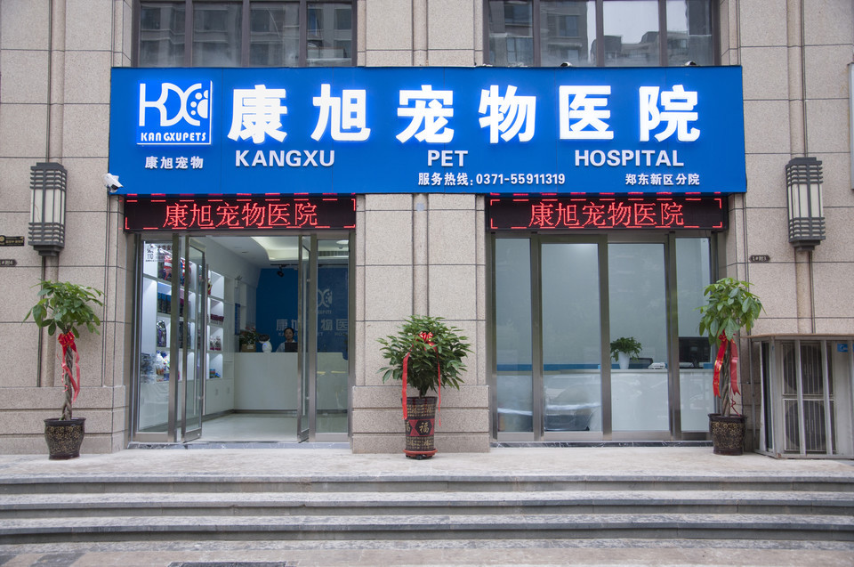     康旭宠物医院(郑东新区分院)