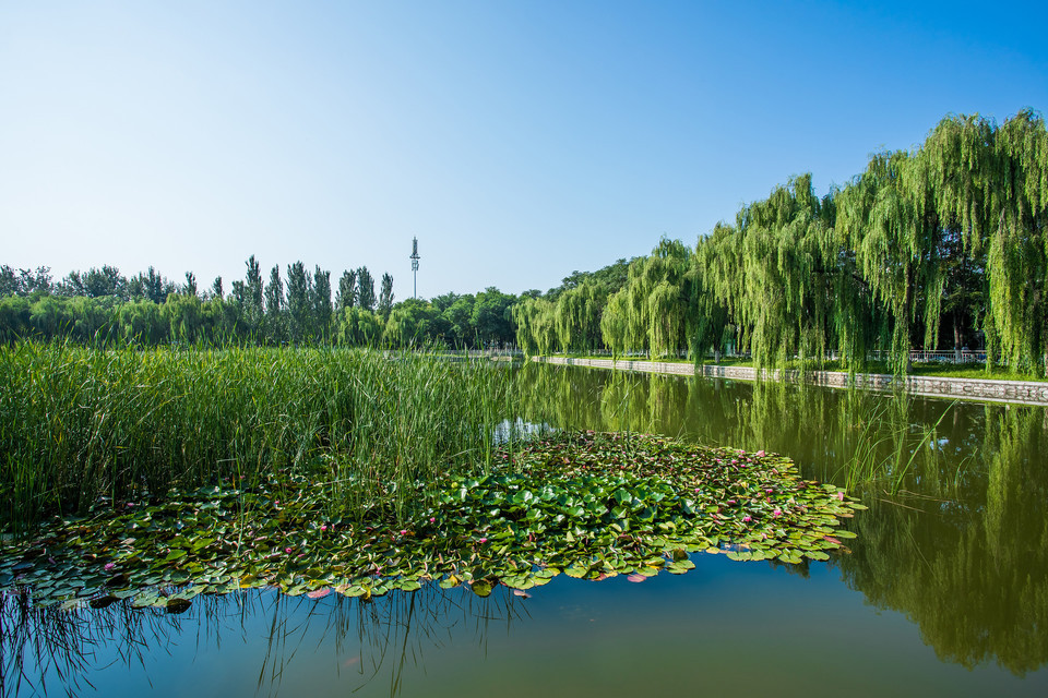 兴海公园(宏福路)图片