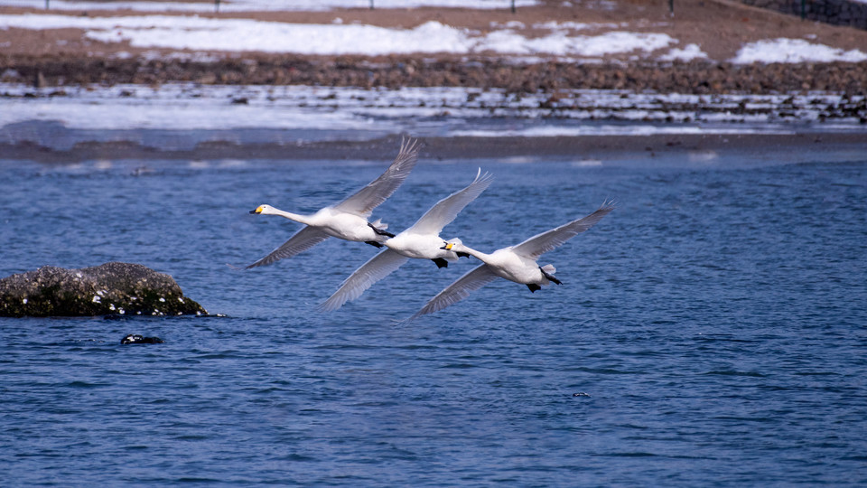 中国长乐海蚌公园