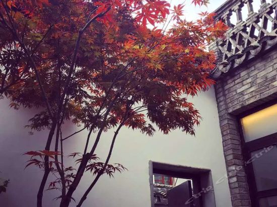 苏州隐庐别院晴澜堂