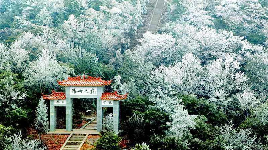 阳明山国家级森林公园