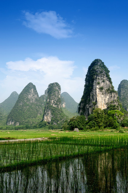 桂林园林植物园