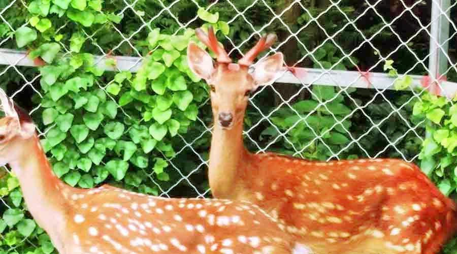 查看壹方動物園_360地圖搜索結果列表