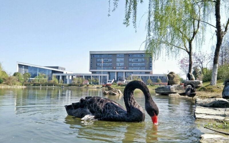 【中国药科大学(江宁校区)】中国药科大学(江宁校区)电话,中国药科大