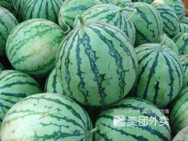老挝西瓜图片