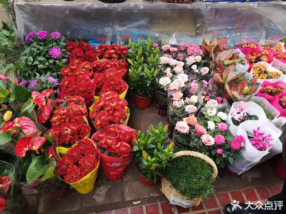 西三教花卉市场图片