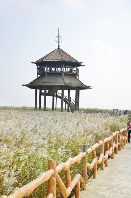 黄河口湿地生态园