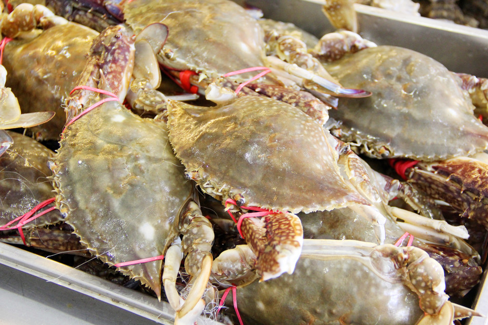 查看鲅鱼圈自助海鲜_360地图搜索结果列表