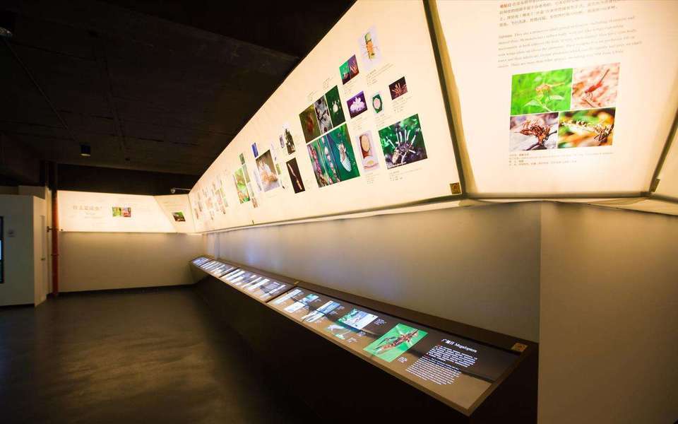 中国虫草博物馆