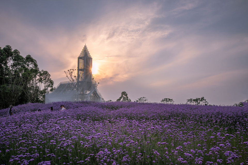 怎么去,怎么走,在哪,在哪里,在哪儿):佛山市南海区里水镇贤鲁岛内