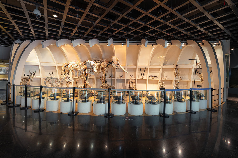                  昆明动物博物馆