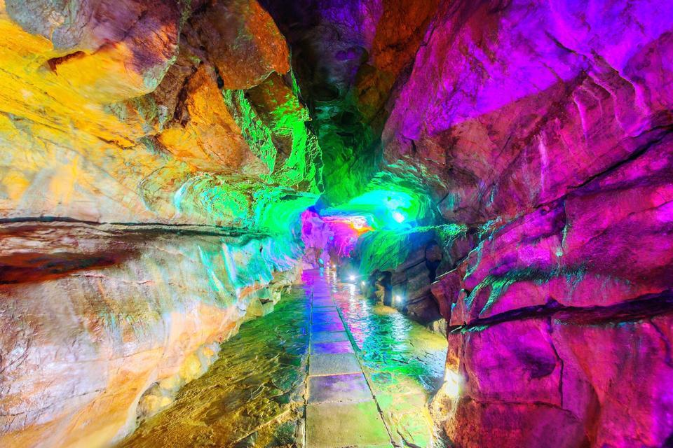 花羽多肉植物园