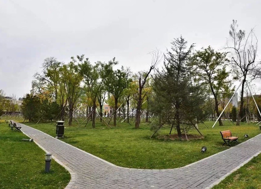 驼房营属于哪个街道