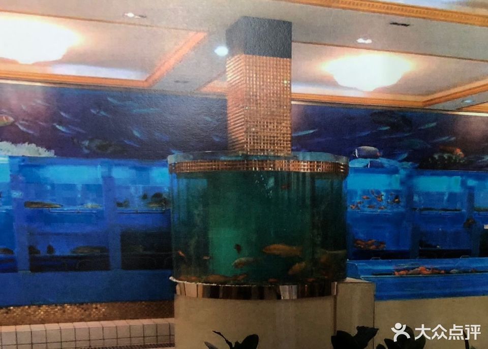 将军桥花鸟市场