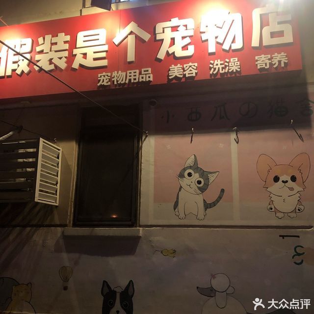 假装是个宠物店