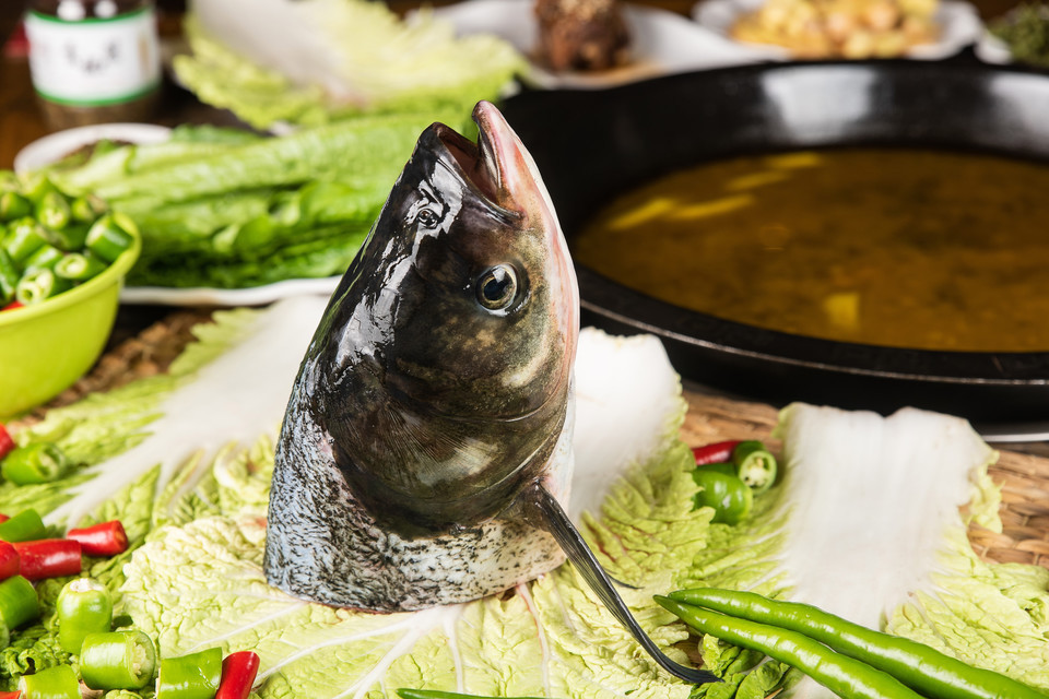 > 成都鱼头火锅