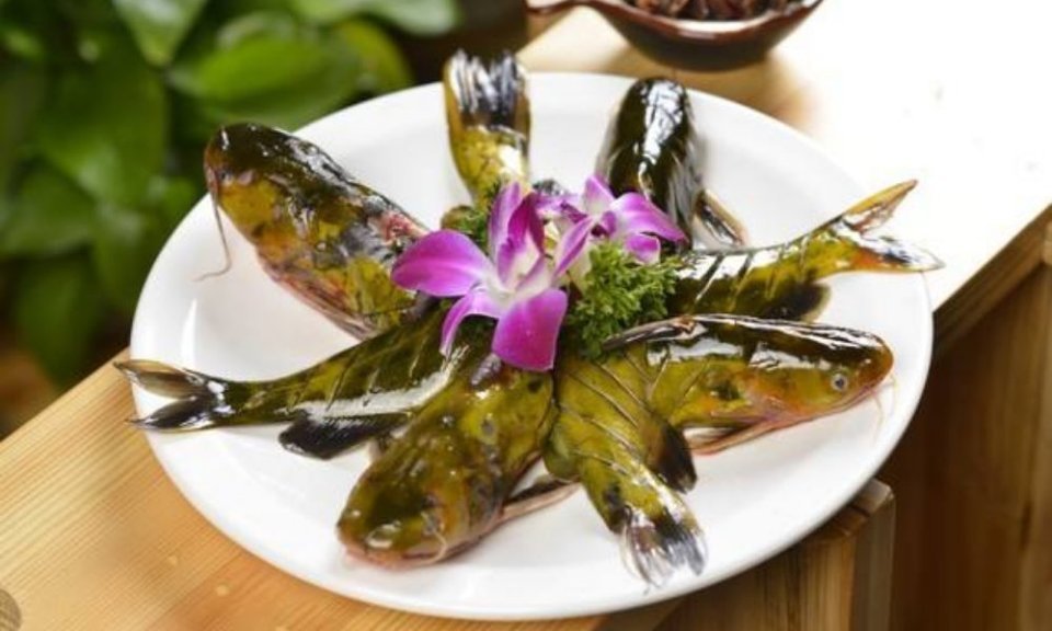 推荐菜:豪杰生态自助鱼火锅位于乐山市市中区瑞祥路一段1057(智尊宝