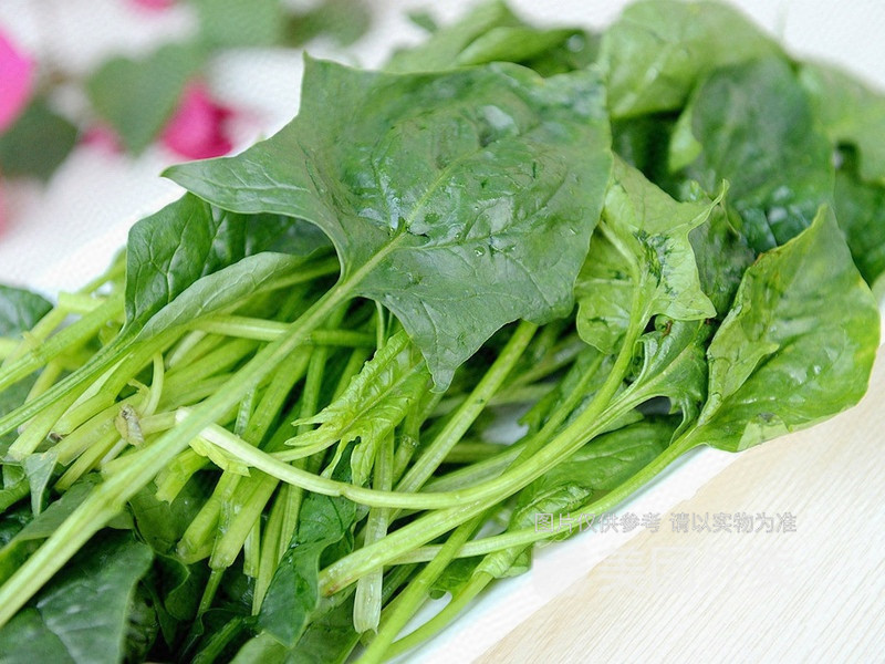 辣本营砂锅麻辣烫护城河店