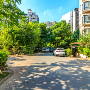 走,在哪,在哪里,在哪儿:上海市嘉定区曹安公路与新郁路交汇处附近南